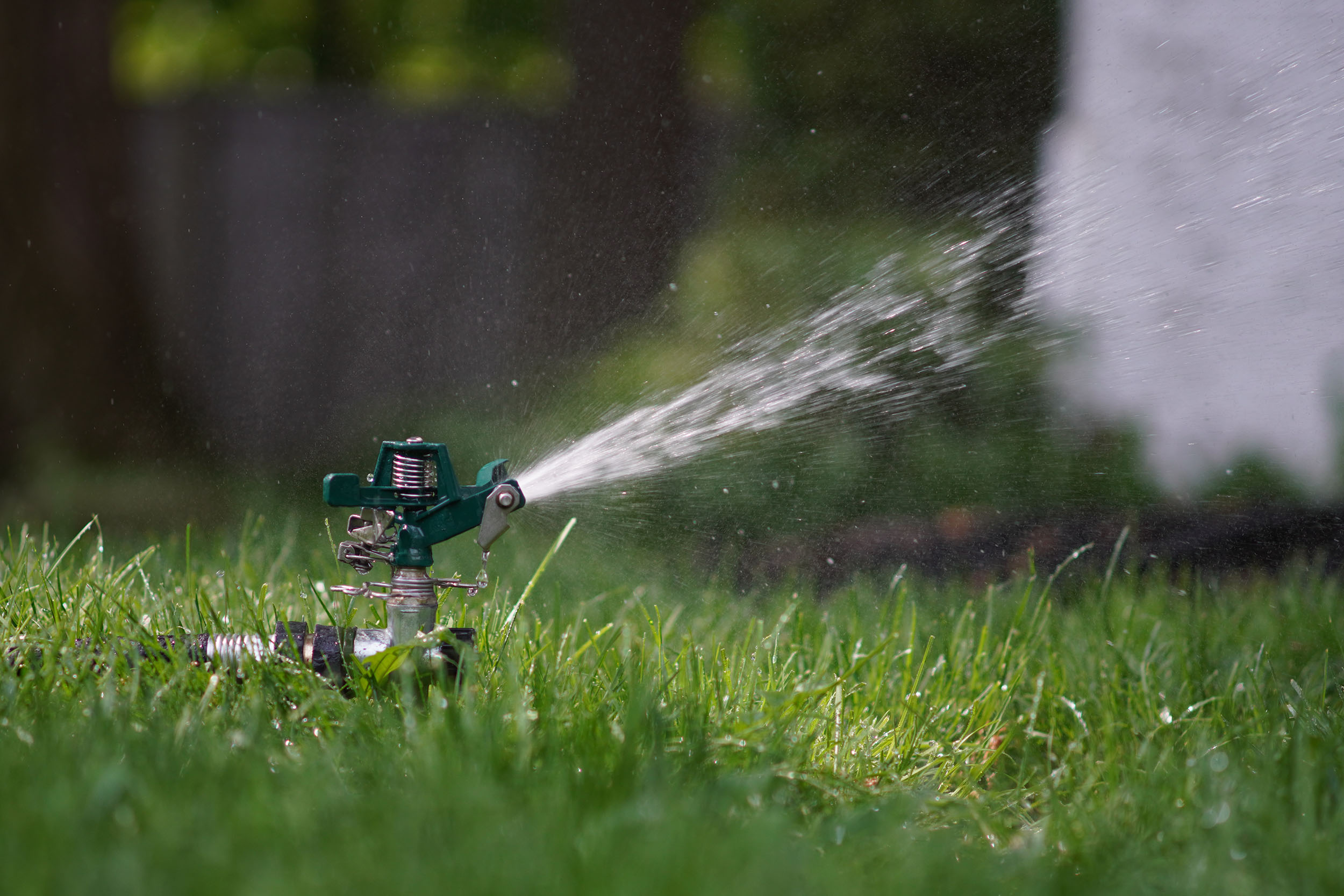 Tips for Applying Organic Fertilizers