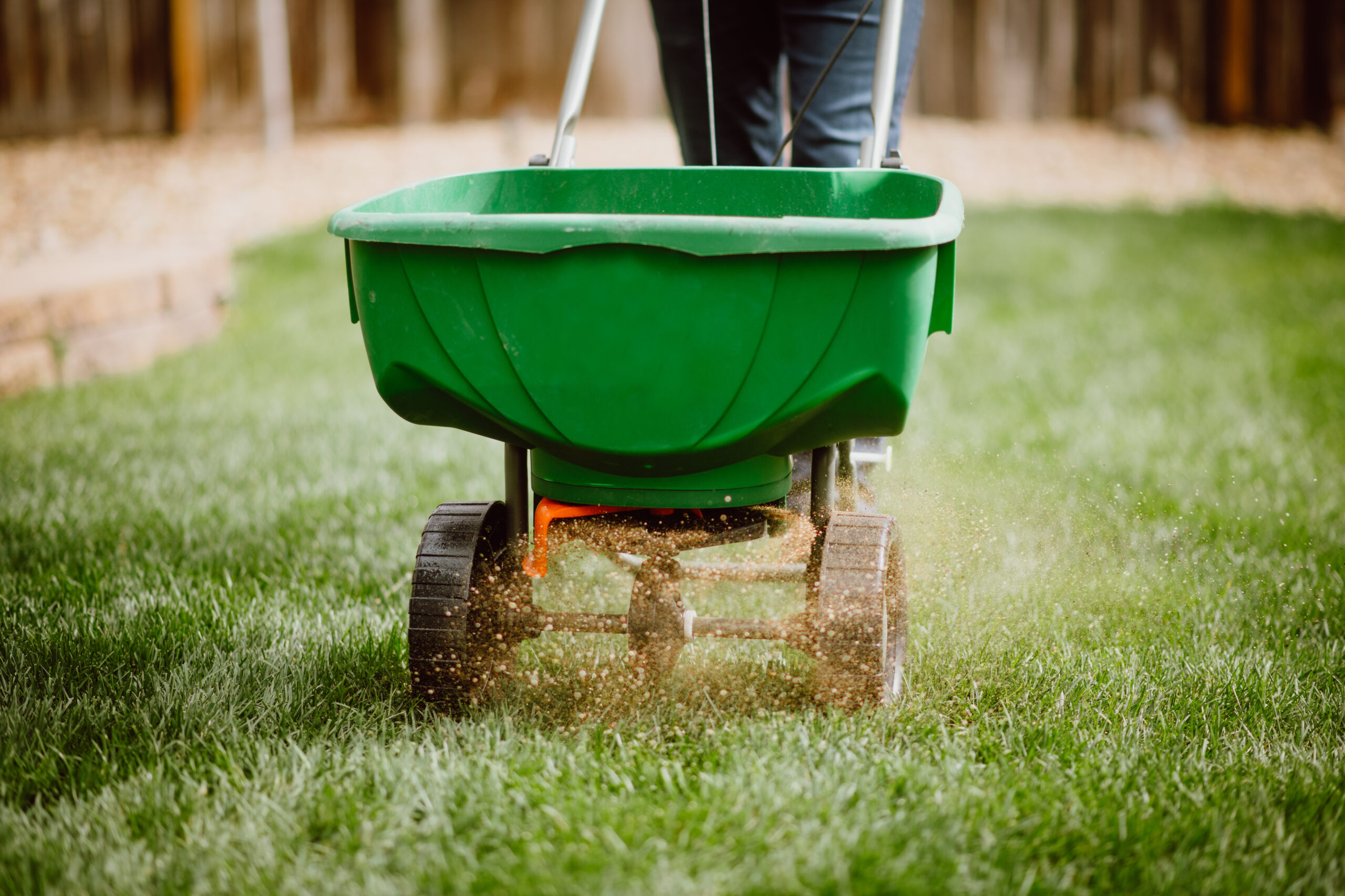 How To Kill Weeds In Your Lawn Organically