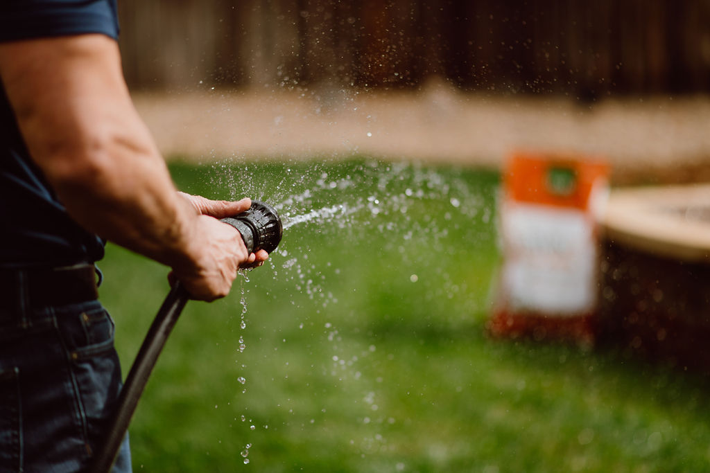 Drought Resistant Lawns