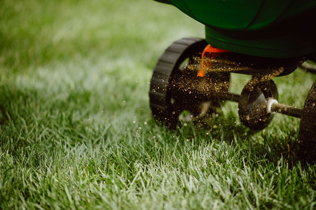 How To Make Your Grass Greener With Organic Fertilizer