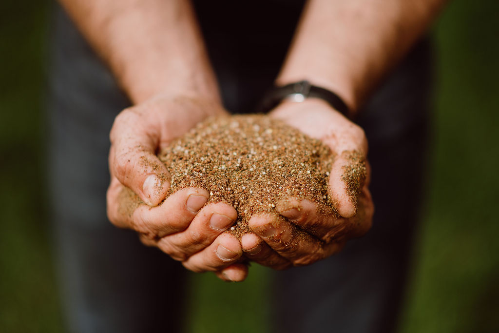 Applying Organic Fertilizer For New Lawns